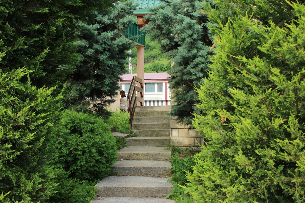 Guesthouse Eko Piva Плужине Екстериор снимка